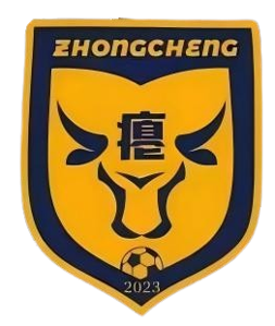 忠诚村足球队logo