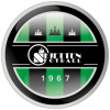 斯基腾logo