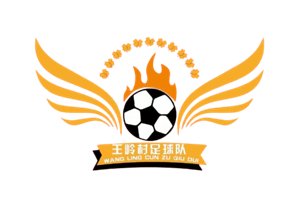 王岭村足球队logo
