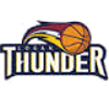 洛根迅雷logo