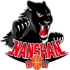 新北市南山高中队logo