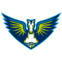 达拉斯飞翼logo