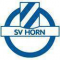 SV霍恩logo